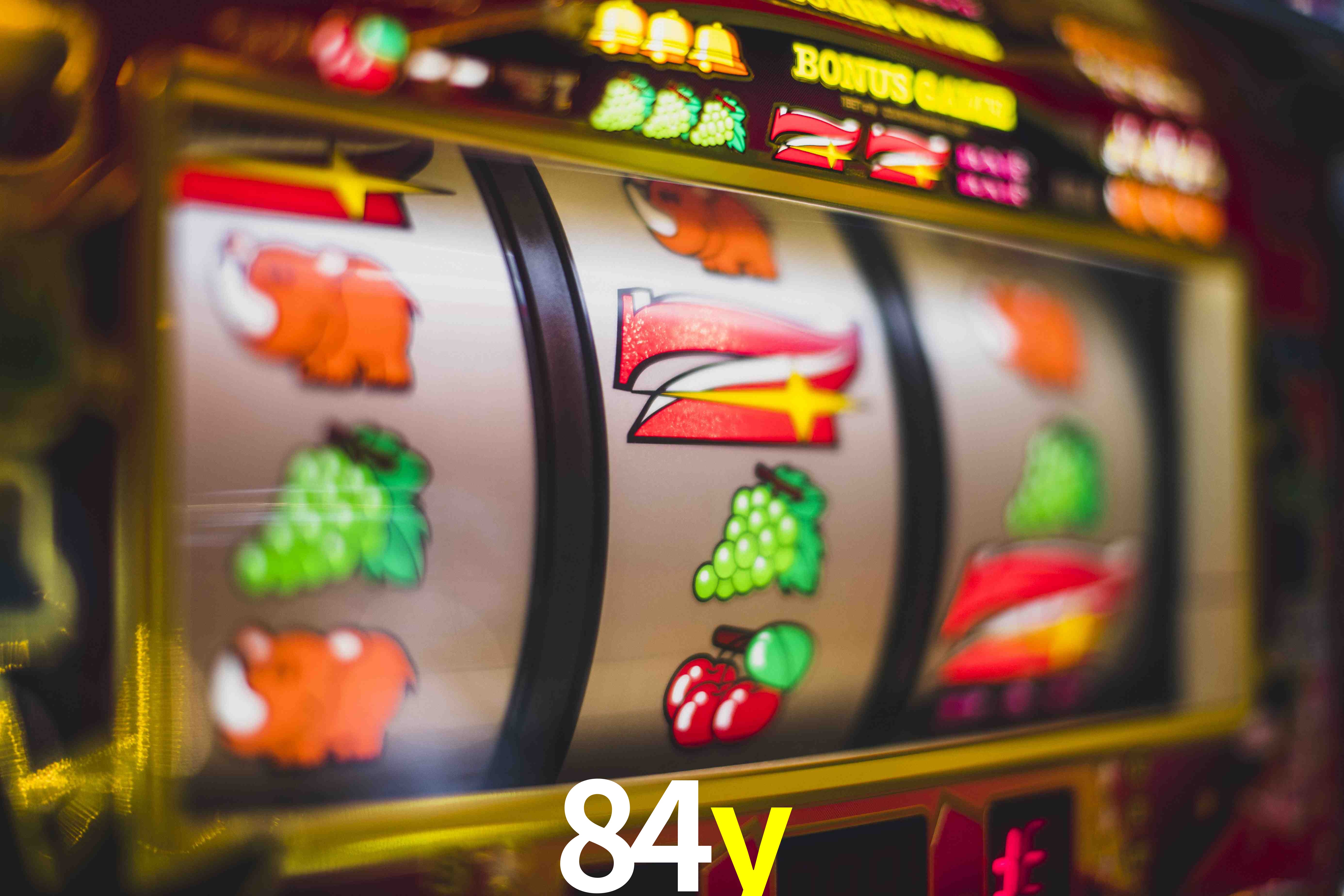 Basketball Betting 84y